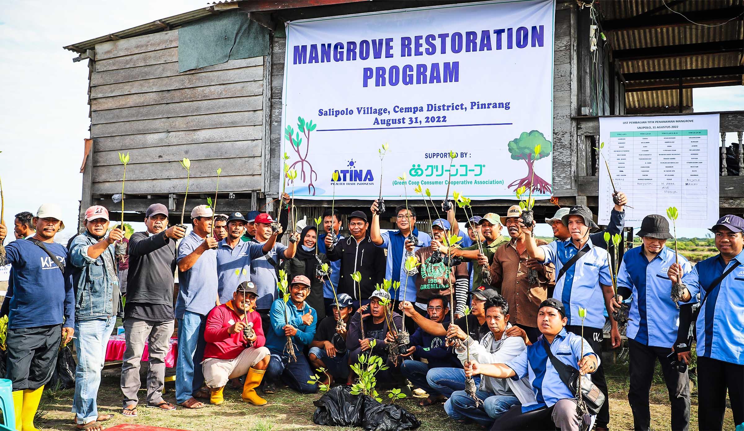 マングローブの植林